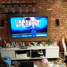 Instalacje Tomasz Magnuszewski - Salon z ceglaną ścianą, klimatyzatorem Rotenso Versu Mirror nad telewizorem. Na pierwszym planie kot Maine Coon siedzący na drapaku.