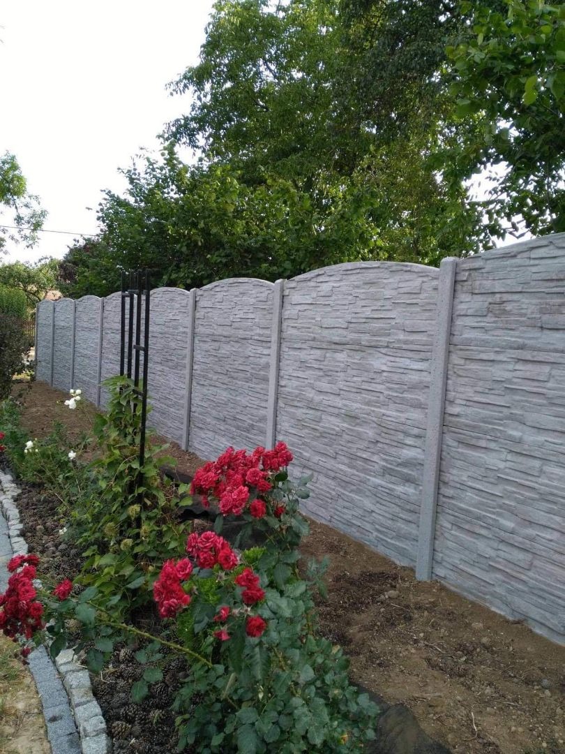 Szary, prefabrykowany płot z betonowych elementów imitujących kamień, z zaokrąglonym wykończeniem u góry, oddzielający ogród z kwitnącymi czerwonymi różami i obrzeżem z kostki granitowej od zieleni...