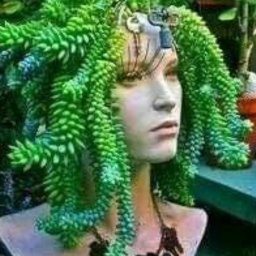 Tadeusz Stenka - Glazurnik Kartuzy