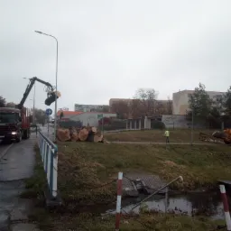 Ciężarówka z dźwigiem podnosi ścięte pnie drzew, w tle stos pni i koparka na trawiastym terenie w pochmurny dzień.