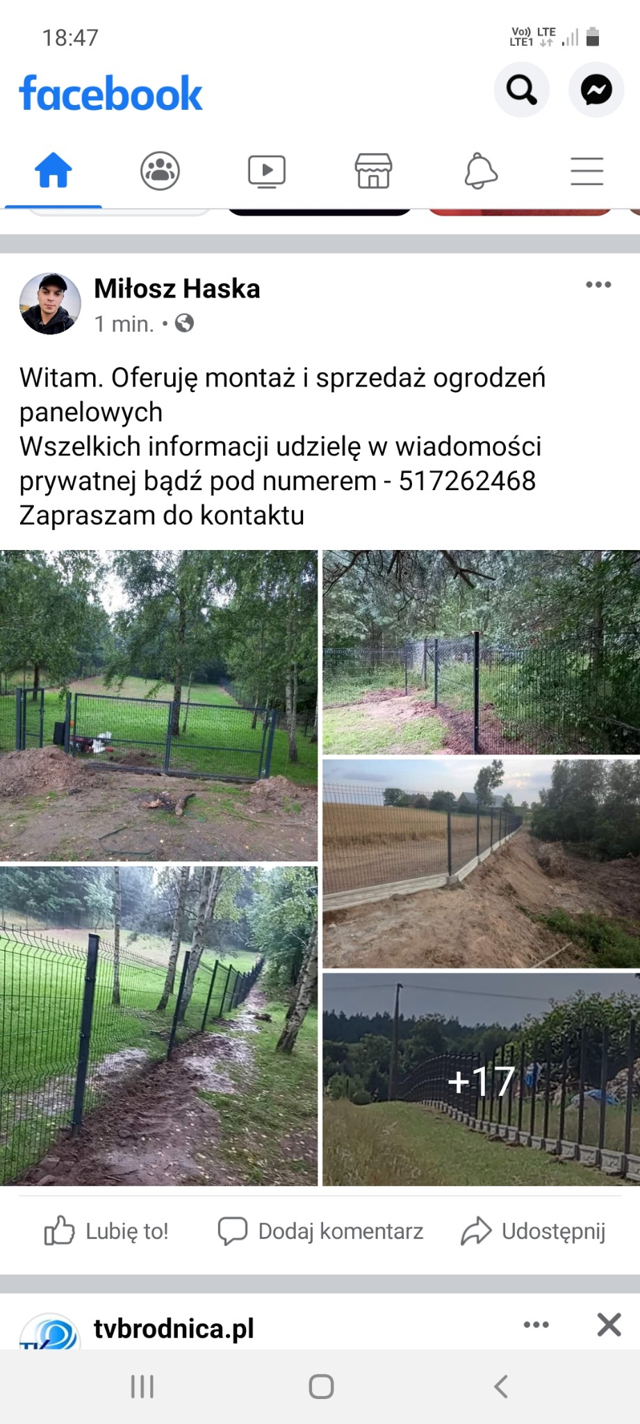 Zielone ogrodzenie panelowe z siatki na tle drzew i trawy, widoczne z różnych perspektyw, w tym fragment z betonową podmurówką.
