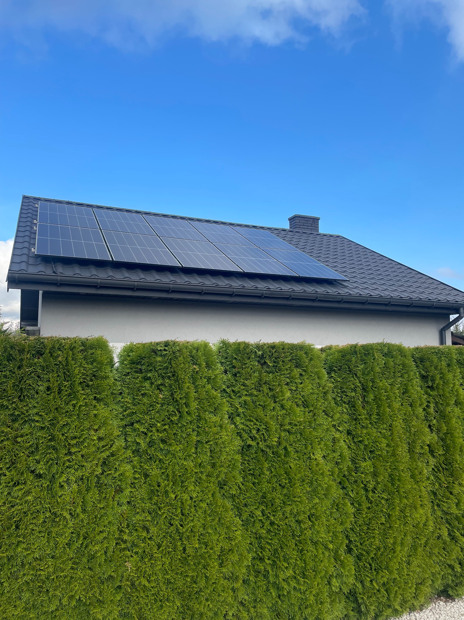 Panele słoneczne na ciemnym dachu domu jednorodzinnego, widoczne znad żywopłotu z tui, błękitne niebo w tle.
