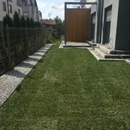 Świeżo założony trawnik z rolki, widoczny system nawadniania, obok ścieżka z białego grysu, nowoczesne ogrodzenie panelowe z nasadzeniami.