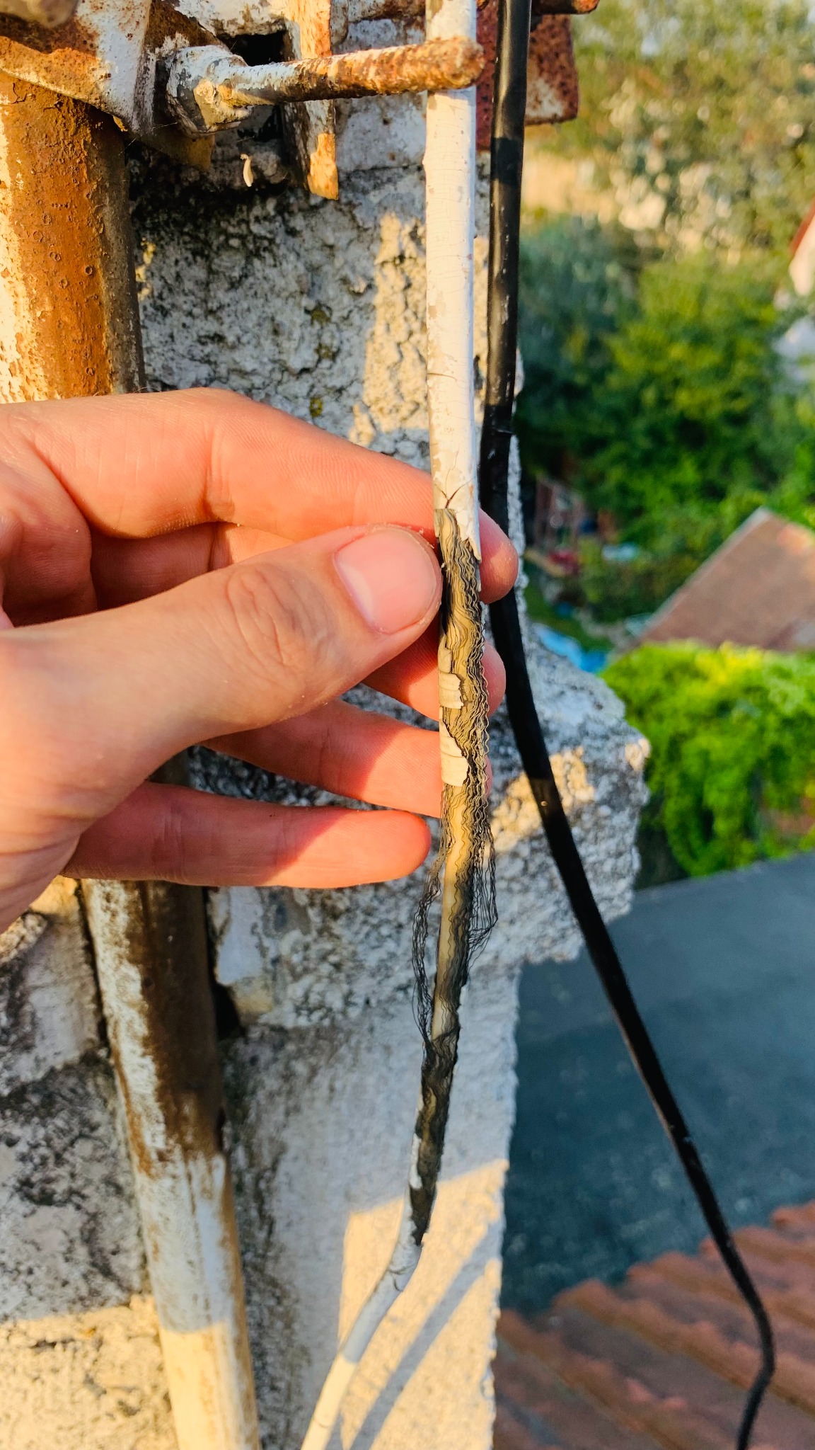 Biały kabel na zewnątrz, My mówimy zdecydowanie NIE.