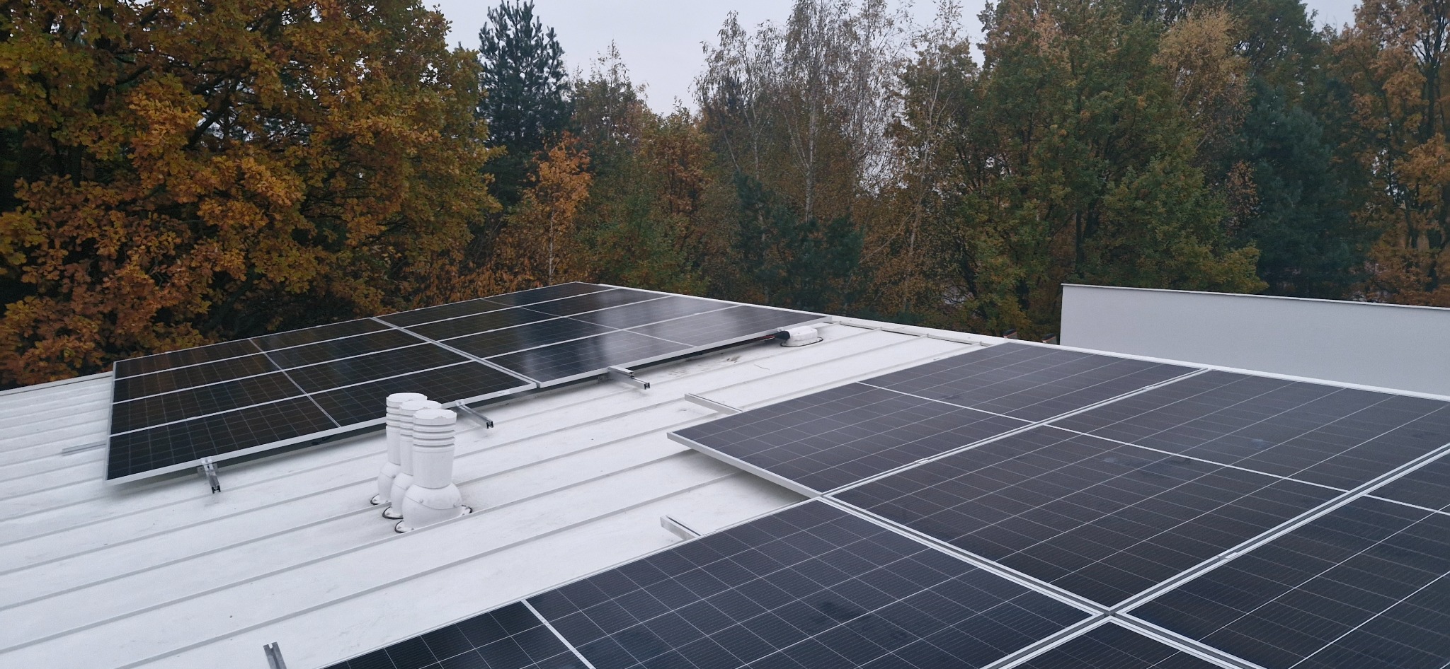 Panele fotowoltaiczne na białym dachu blaszany, widok z góry na tle drzew z jesiennymi liśćmi.