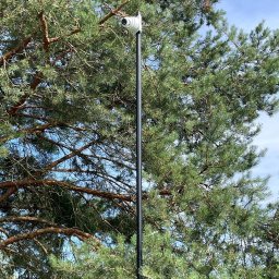 Esafer.pl - Kompleksowe Systemy Zabezpieczeń - Kamera monitoringu na wysokim słupku, umieszczona na tle gęstego drzewa iglastego i błękitnego nieba. Widok z dołu, podkreślający wysokość instalacji.