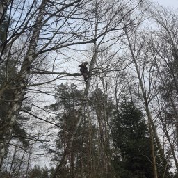 Pielęgnacja ogrodów Rumia 4