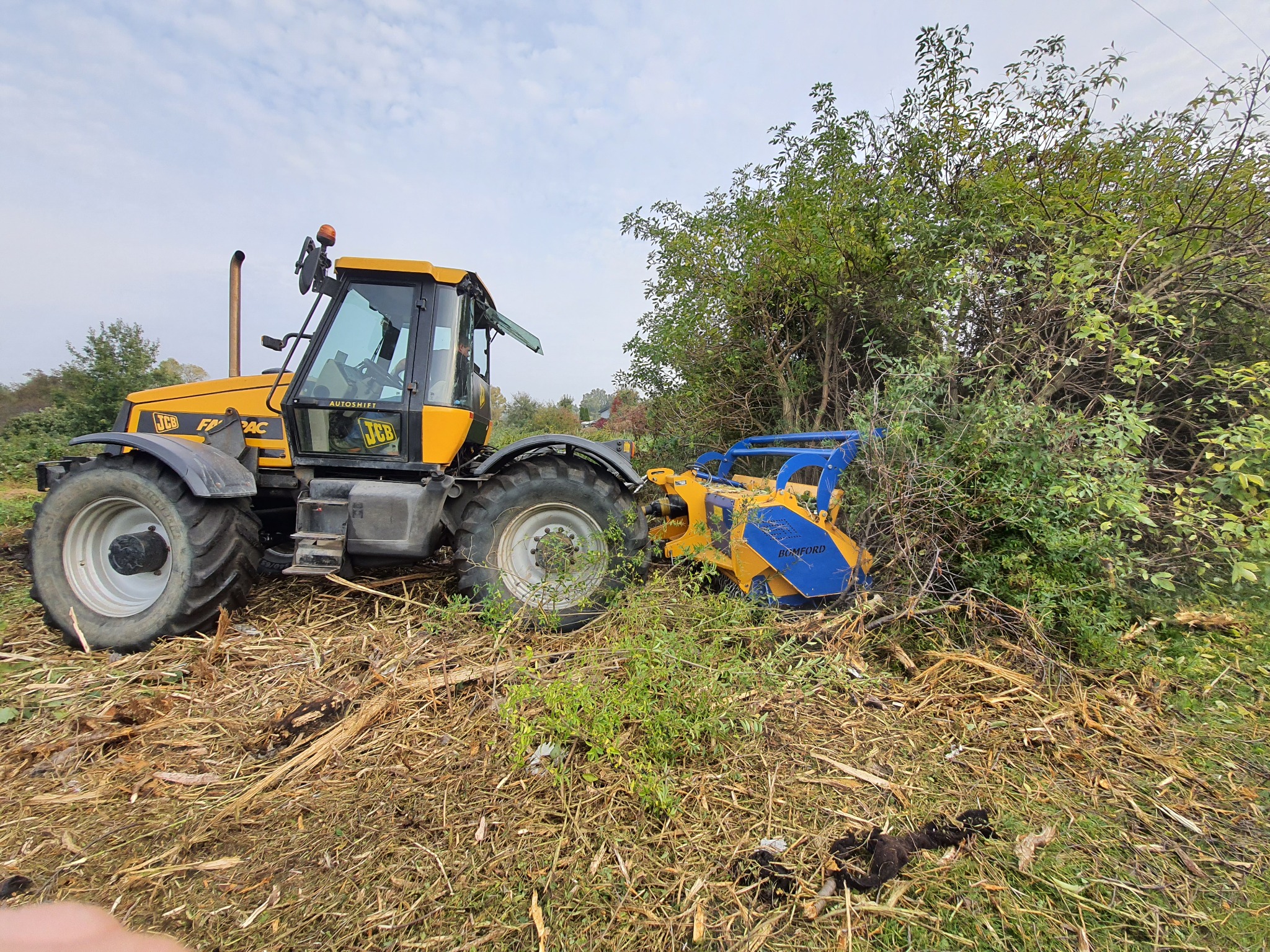 Żółty traktor JCB z niebieskim mulczerem BOMFORD tnący krzaki i zarośla, widoczne ślady cięcia na ziemi.