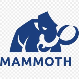 Mammoth Art. Justyna Abramczyk - Przebudowy Dachu Pruszcz Gdański