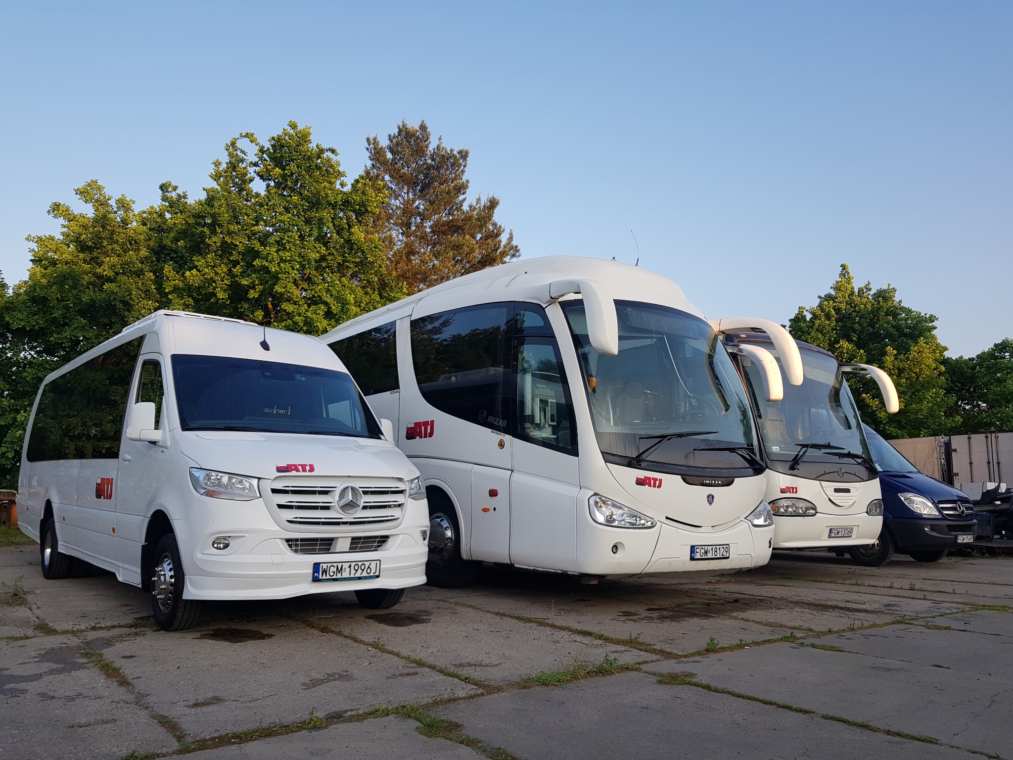 Flota białych busów i autokarów firmy transportowej, zaparkowana na betonowym placu w słoneczny dzień.