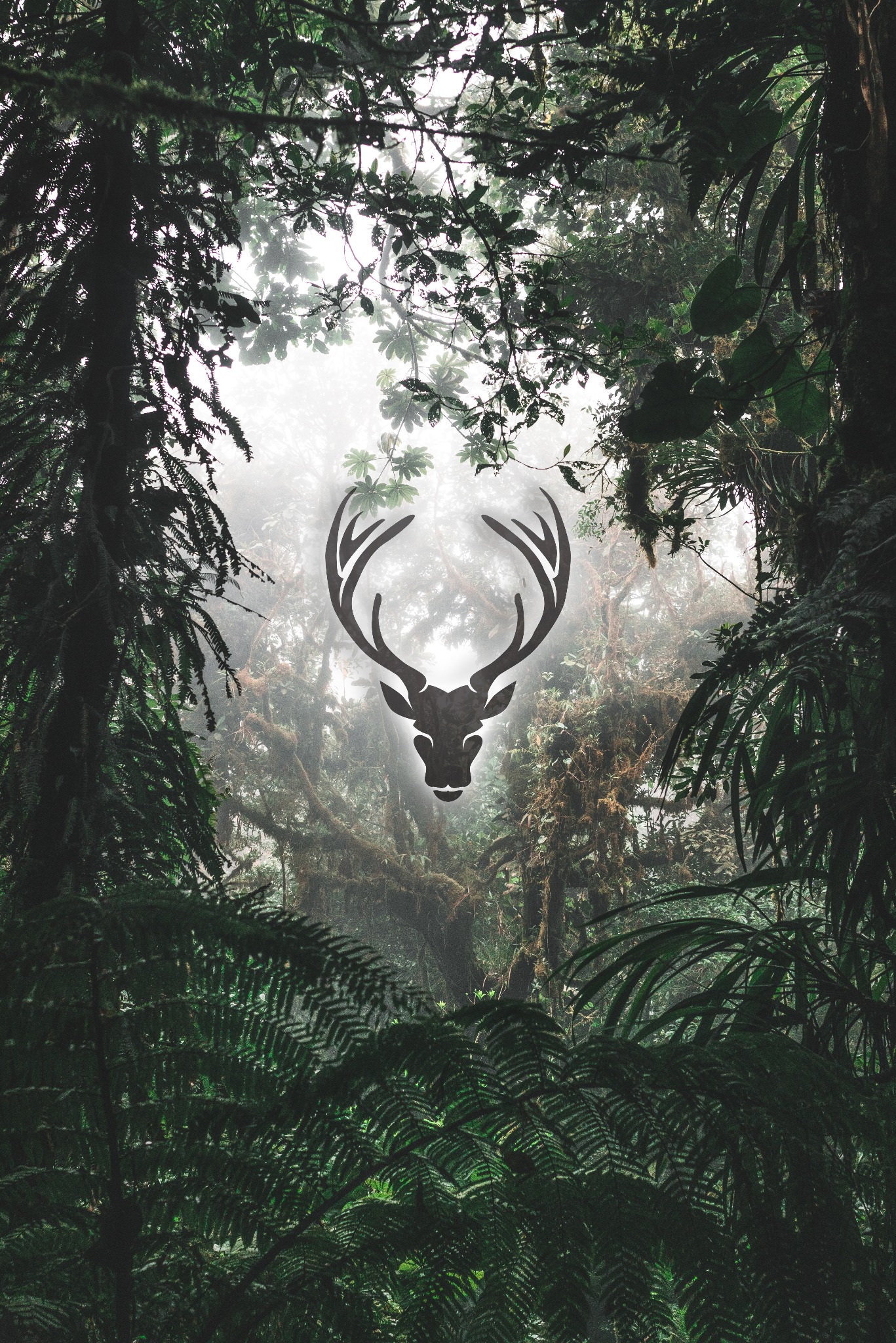Grafika jelenia w mglistym lesie tropikalnym. Ciemnozielone paprocie i drzewa tworzą ramę dla sylwetki zwierzęcia. Dominują odcienie zieleni i szarości.