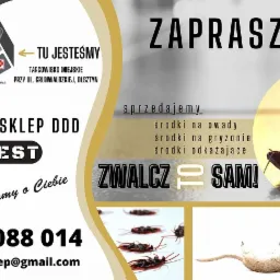 Reklama sklepu DDD Olpest z mapą dojazdu, ofertą środków na owady, gryzonie i odkażających, martwym karaluchem i myszą oraz wizualizacją wirusa.