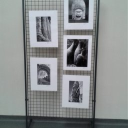 siatka cięto ciągniona	
