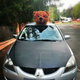 Srebrny samochód Mitsubishi z czarną maską, na dachu umieszczona głowa pluszowego misia, prawdopodobnie kostium, na przednim zderzaku widoczne futrzane nogi kostiumu misia.