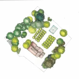 Kolorowy rysunek odręczny przedstawiający plan zagospodarowania ogrodu z budynkiem, basenem i różnymi gatunkami drzew i krzewów.