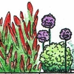 Zakładanie ogrodów Gdańsk 1