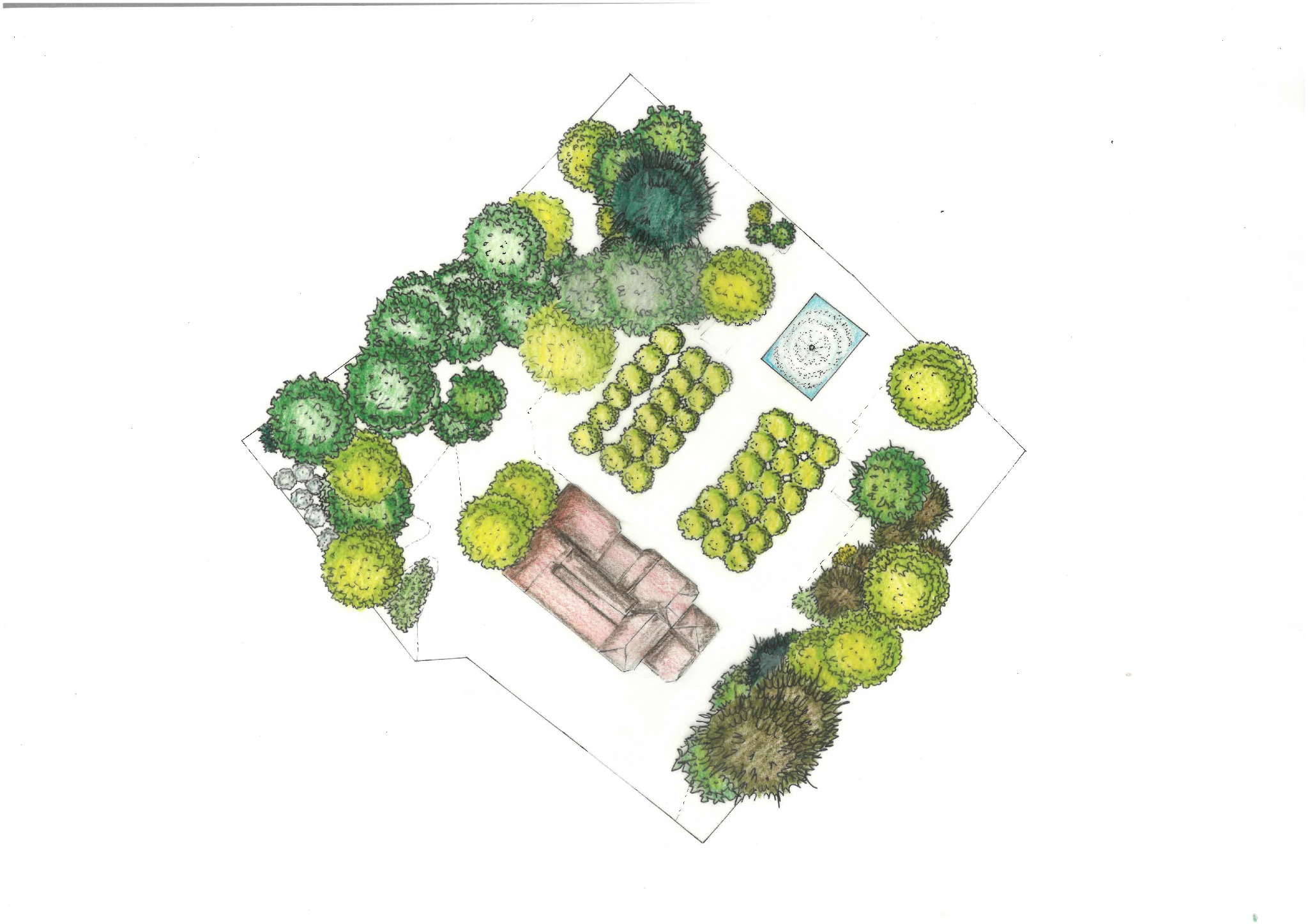 Kolorowy rysunek odręczny przedstawiający plan zagospodarowania ogrodu z budynkiem, basenem i różnymi gatunkami drzew i krzewów.