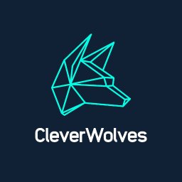 Clever Wolves - Strony WWW Wrocław
