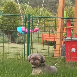 Delax - Grzejniki Pokojowe Jaworzno