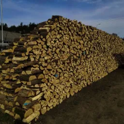 Równomiernie ułożony stos pociętego drewna opałowego, widoczne niebieskie oznaczenia na niektórych kawałkach, tło z budynkami i drzewami pod pochmurnym niebem.