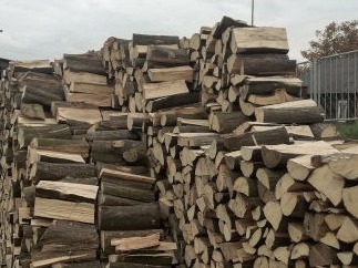 Stos pociętego drewna ułożonego w równych rzędach, widoczne sęki i naturalna faktura kory, tło rozmyte.