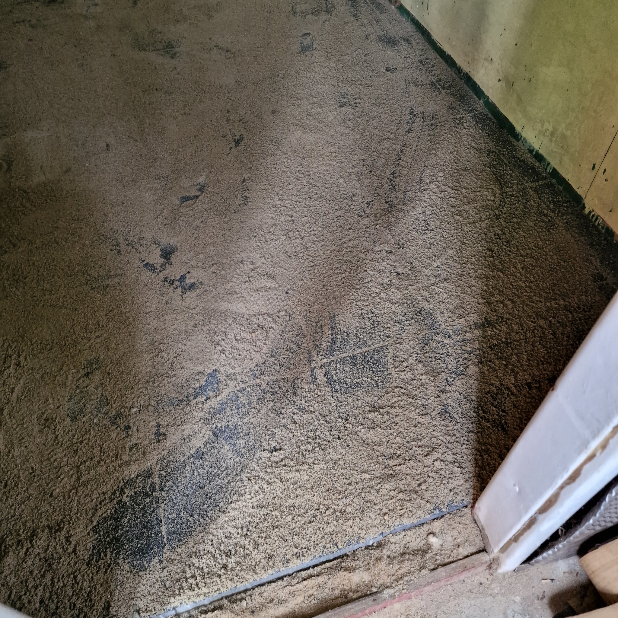 Podłoga pokryta warstwą pyłu po szlifowaniu, widoczny fragment ościeżnicy drzwiowej i ślady wcześniejszych prac.