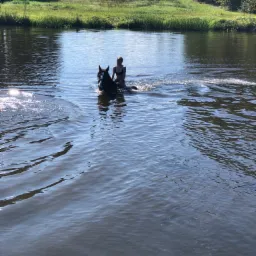 Kobieta w czarnym stroju kąpielowym jeżdżąca na czarnym koniu przez płytką wodę w słoneczny dzień, z zielonym brzegiem i drzewami w tle.
