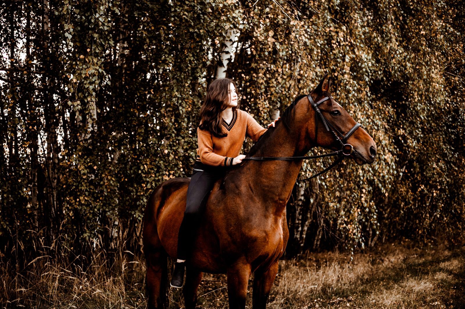 Młoda kobieta w pomarańczowym swetrze jeździ na brązowym koniu w jesiennym lesie, patrząc w dal.