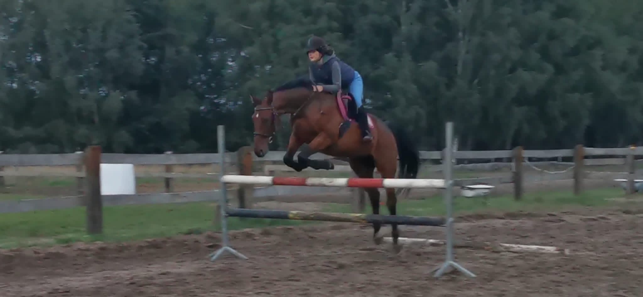 Kobieta w kasku na brązowym koniu skacze przez przeszkodę na piaszczystym terenie, widoczne ogrodzenie i drzewa w tle.