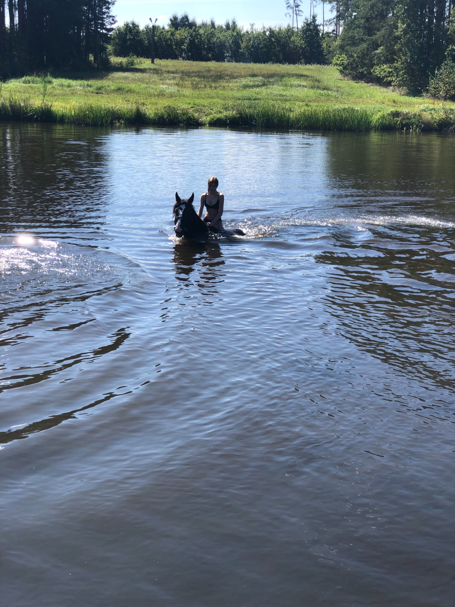 Kobieta w czarnym stroju kąpielowym jeżdżąca na czarnym koniu przez płytką wodę w słoneczny dzień, z zielonym brzegiem i drzewami w tle.