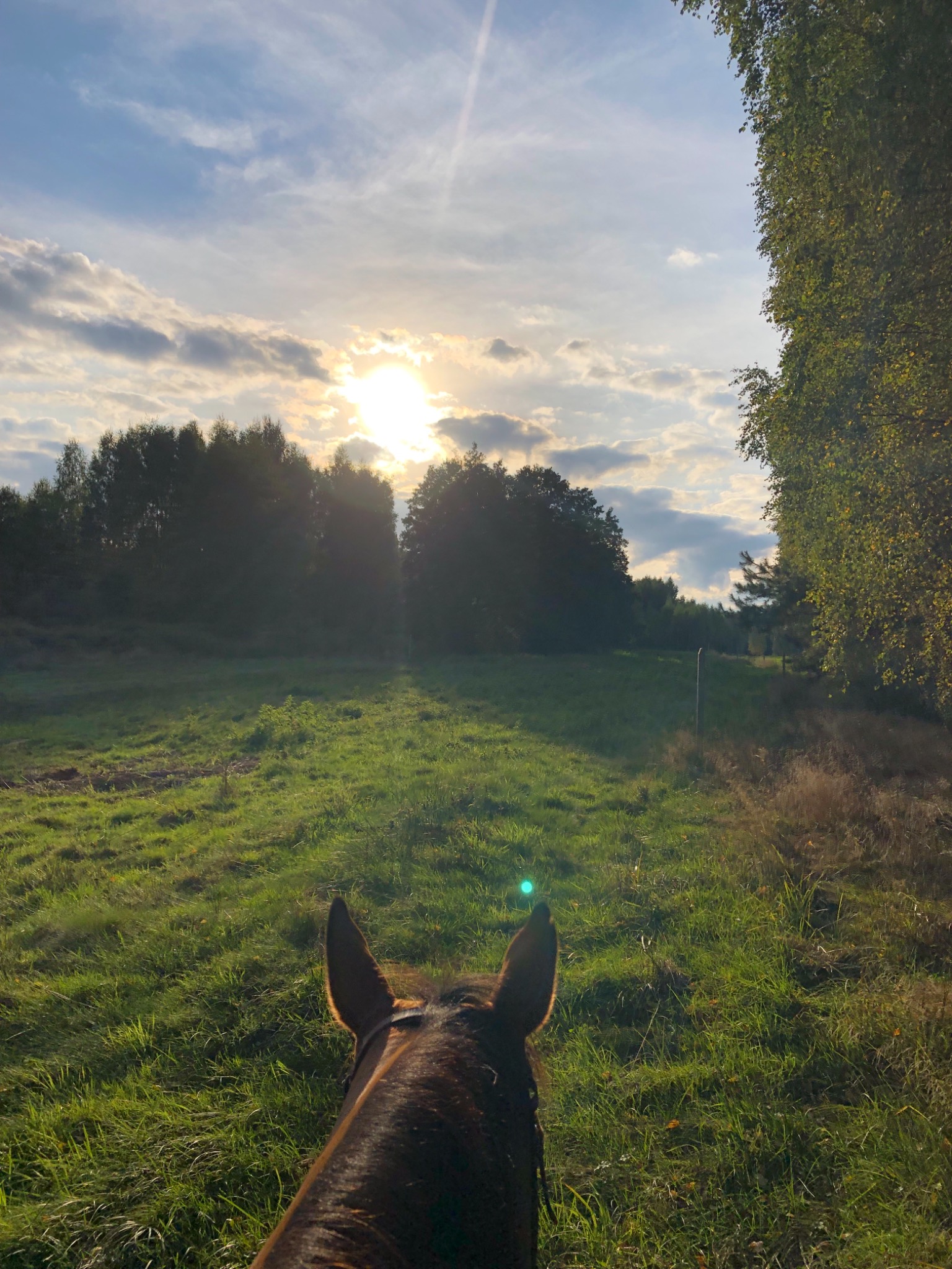 Widok z perspektywy jeźdźca na grzbiecie konia, uszy konia w dolnej części kadru, w oddali łąka i las skąpane w promieniach zachodzącego słońca przebijających się przez chmury.