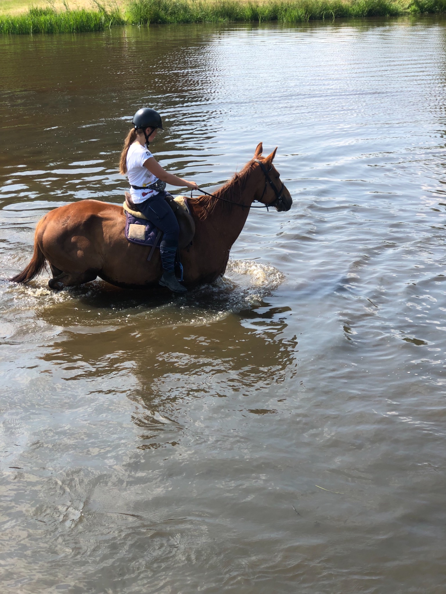 Dziewczyna w kasku na brązowym koniu przechodzi przez płytką wodę rzeki, w tle zielona trawa na brzegu.