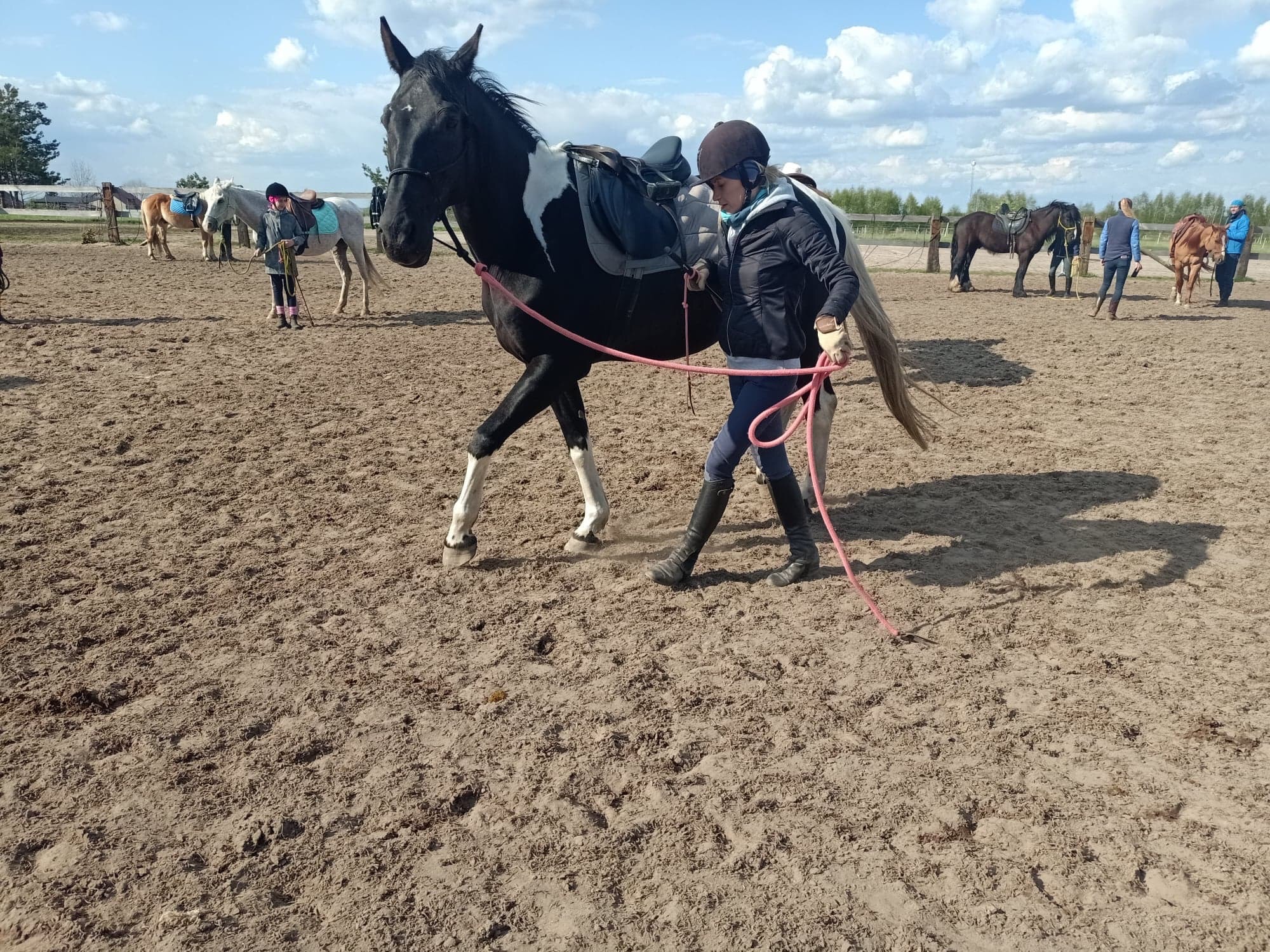 Osoba prowadzi czarno-białego konia z siodłem na piaszczystym terenie, w tle widoczne inne konie i osoby, słoneczny dzień.