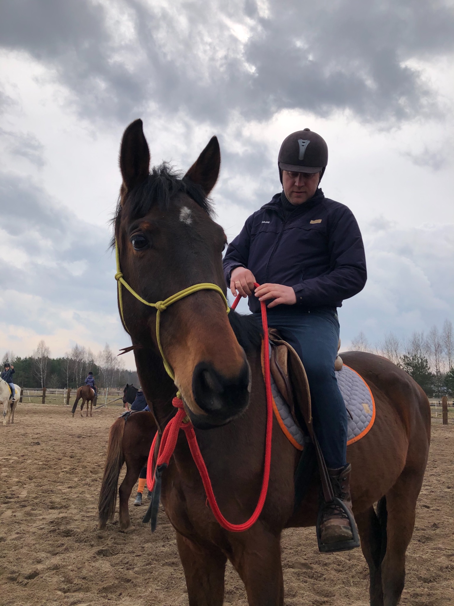 Jeździec w kasku siedzi na brązowym koniu z żółtym i czerwonym kantarem na piaszczystym terenie, w tle inni jeźdźcy i drzewa pod pochmurnym niebem.