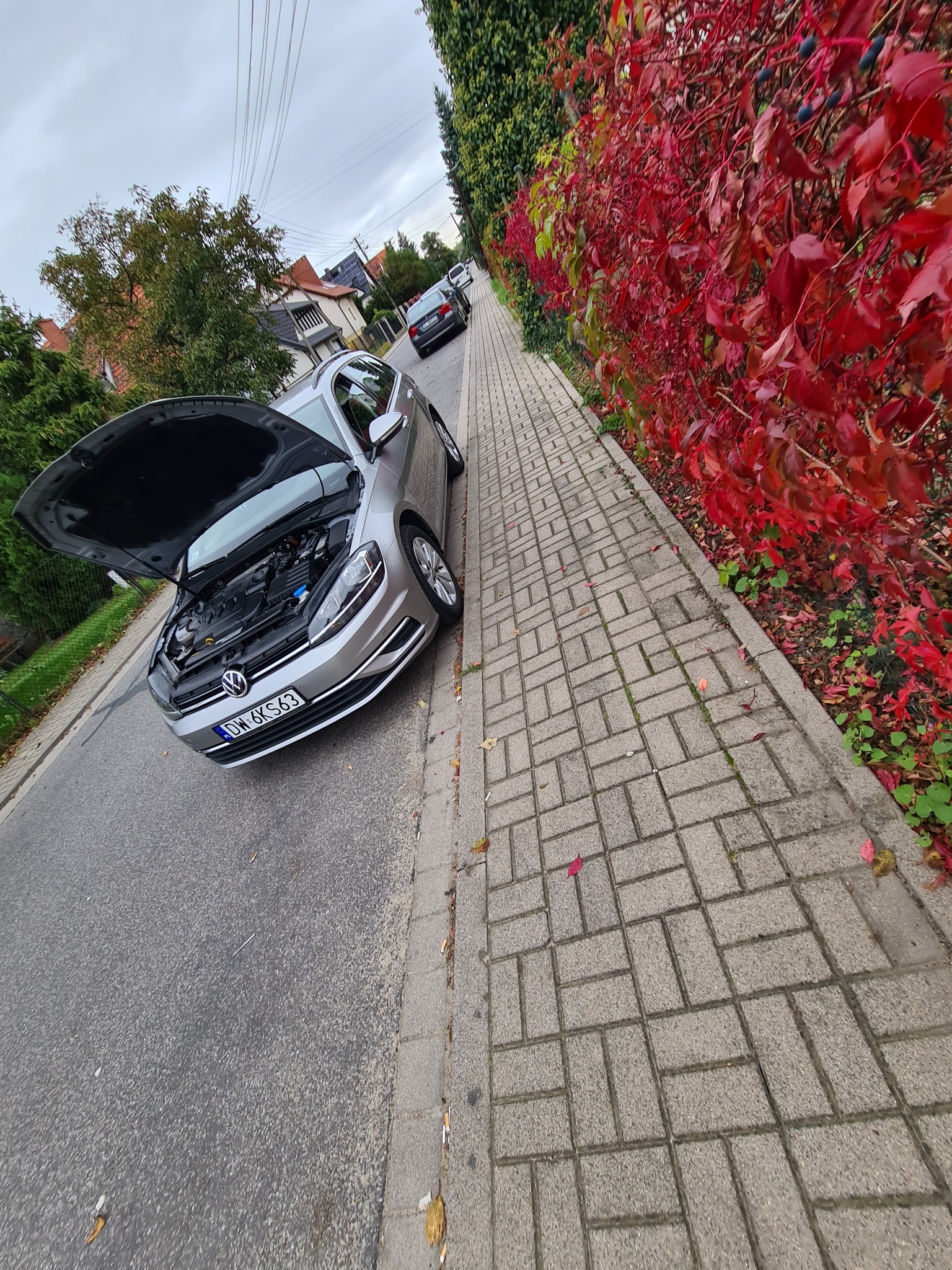 Srebrny samochód z otwartą maską stojący na ulicy obok chodnika z czerwoną roślinnością w tle.