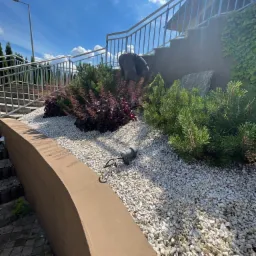 Osoba pielęgnuje rośliny na skalniaku z białych kamieni, widoczne iglaki, krzewy o purpurowych liściach, kamień dekoracyjny, schody z metalową barierką i fragment budynku z bluszczem w tle.