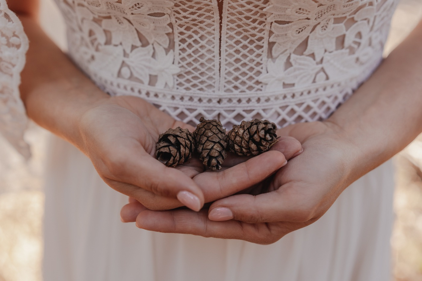 Panna młoda w koronkowej sukni trzyma w dłoniach trzy szyszki, zbliżenie na dłonie i górną część sukni.