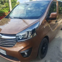 Brązowy Opel Vivaro z czarnymi felgami, zaparkowany na ulicy w słoneczny dzień, widoczna tablica rejestracyjna EZG 47228.