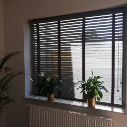 Ciemnoszare żaluzje poziome w oknie, częściowo podniesione, z dwoma doniczkami z zielonymi roślinami na parapecie, widoczny grzejnik pod oknem.