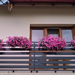 Czarny balkon z poziomych profili z trzema donicami pełnymi różowych kwiatów pelargonii, na tle elewacji domu z brązowymi ramami okiennymi.