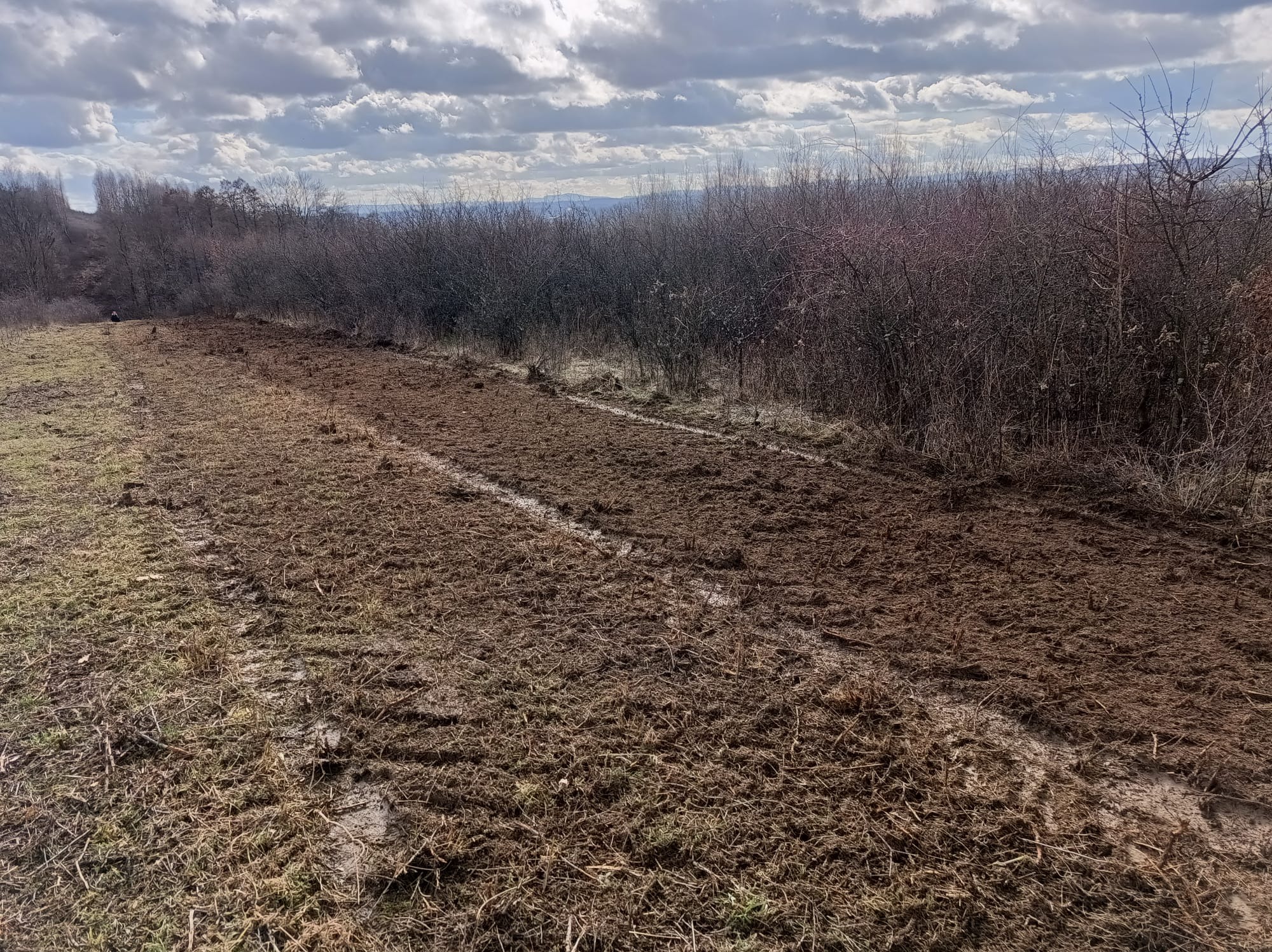 Świeżo uprzątnięty teren po usunięciu krzewów i drzew, z widocznymi śladami opon i pozostałościami roślinności, na tle pochmurnego nieba i odległych wzgórz.