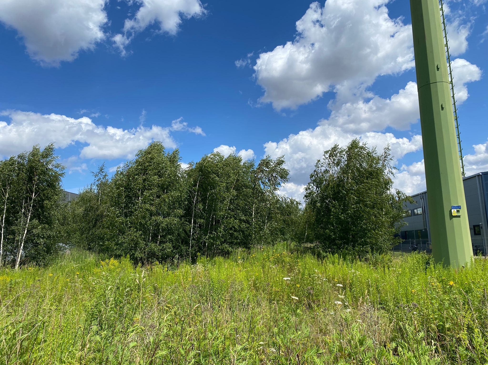 Mulczer powierzchowny