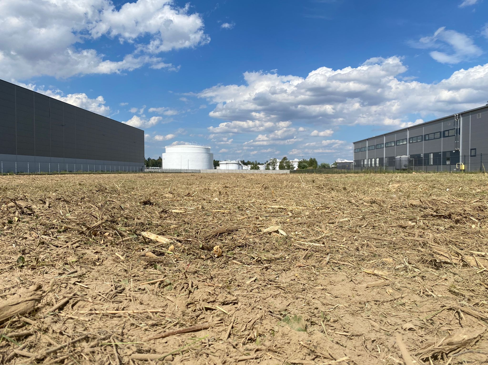 Teren po wycince drzew, pokryty drobnymi gałęziami i wiórami, z widocznymi budynkami przemysłowymi w tle i zbiornikami na horyzoncie pod błękitnym niebem z chmurami.
