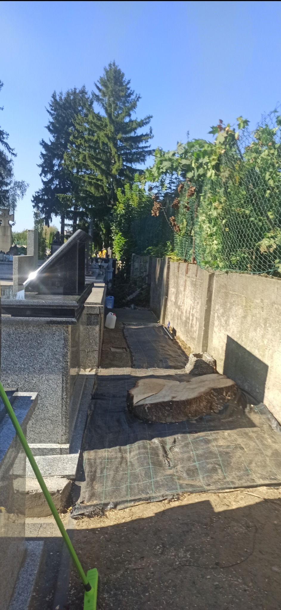 Kłoda po wyciętym drzewie na cmentarzu, zabezpieczona czarną siatką, widoczne nagrobki i zieleń w tle.