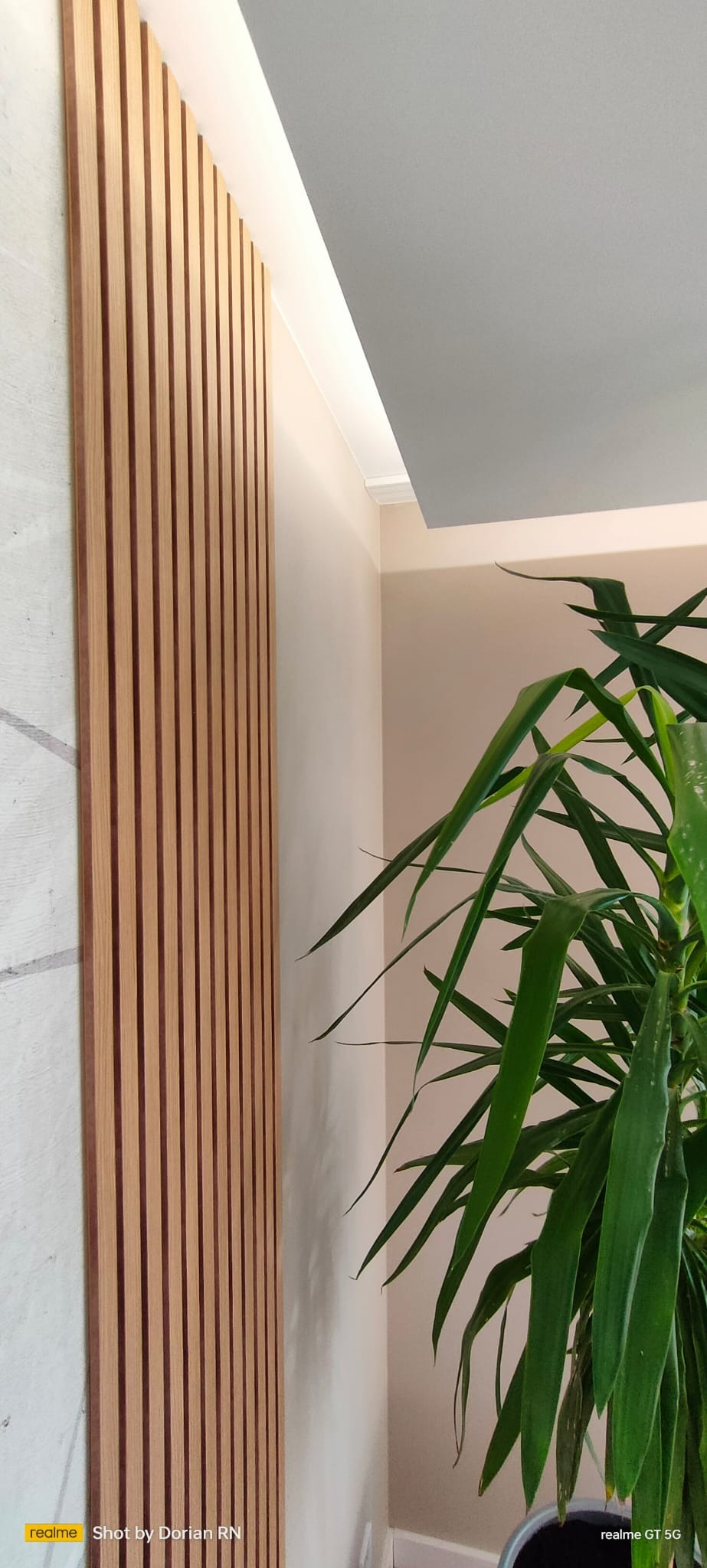 Panel ścienny z drewnianych listew w odcieniach brązu, oświetlony od góry, z fragmentem zielonej rośliny w prawym dolnym rogu i narożnikiem sufitu w tle.