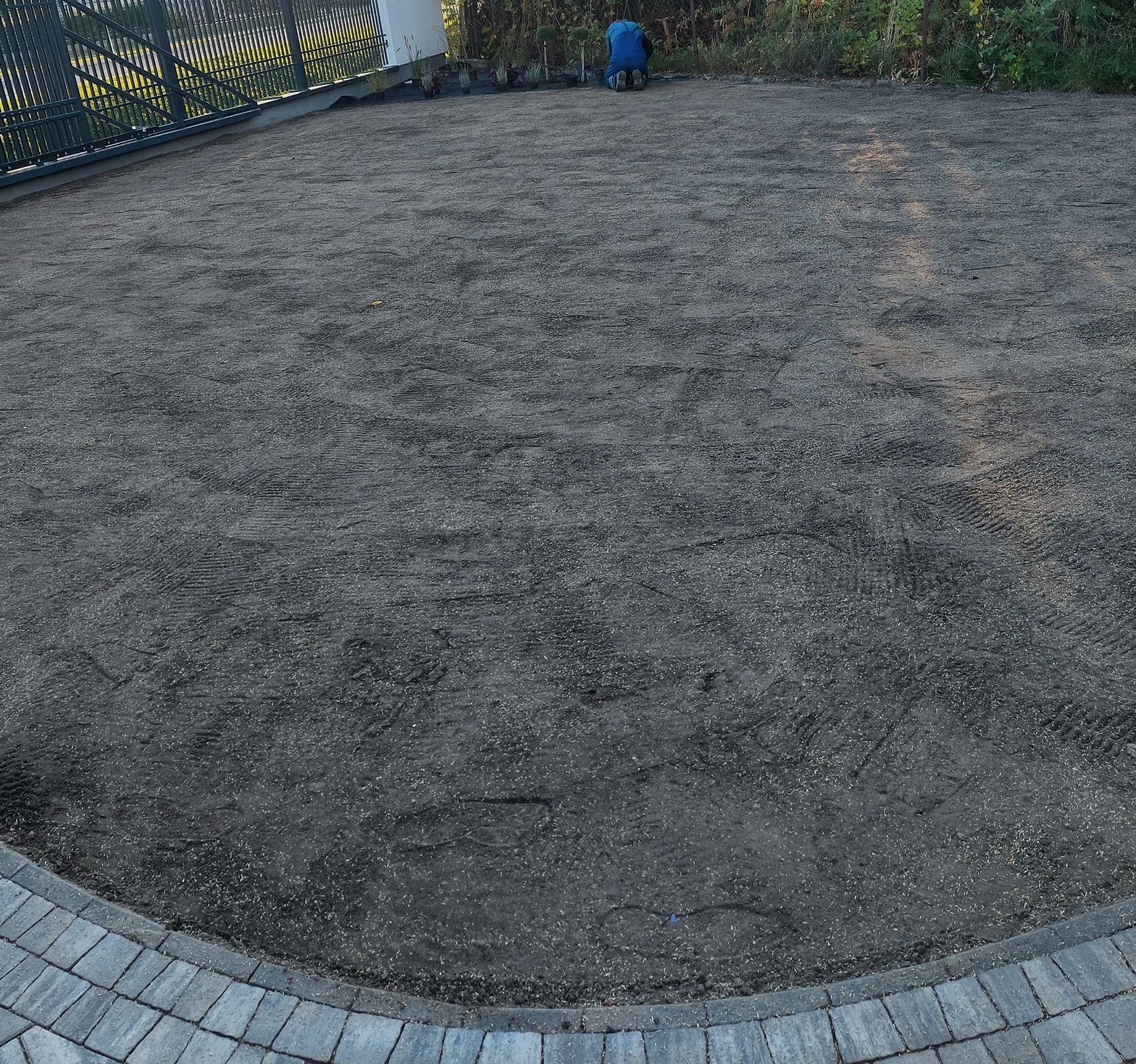 Przygotowany teren pod trawnik, wyrównana ziemia z widocznymi śladami po grabiach i rozsianymi nasionami trawy, obrzeże z kostki brukowej, pracownik w oddali.