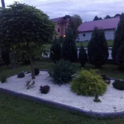 Ogródek z białym żwirem, obrzeżem z kostki, drzewem kulistym i różnymi krzewami ozdobnymi na trawniku.