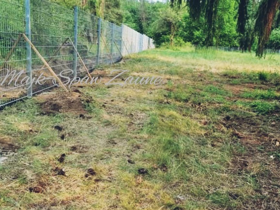 Montaż ogrodzenia panelowego z metalowej siatki na tle zieleni, widoczne podpory tymczasowe i świeżo przekopana ziemia wzdłuż linii ogrodzenia.