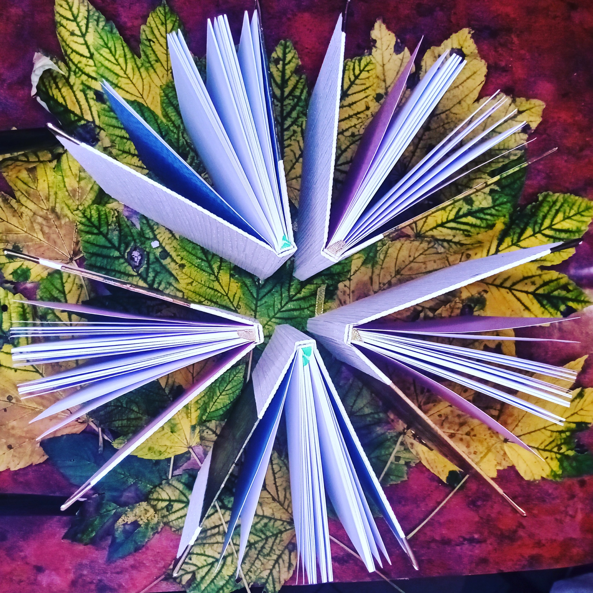 Pięć otwartych, identycznych zeszytów z białymi kartkami i szarymi okładkami, ułożonych w okrąg na tle jesiennych liści i ciemnoczerwonego podłoża.