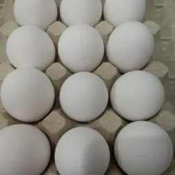 Karton z tuzinem białych, kurzych produktów spożywczych, widocznych z góry, z delikatnym cieniem.